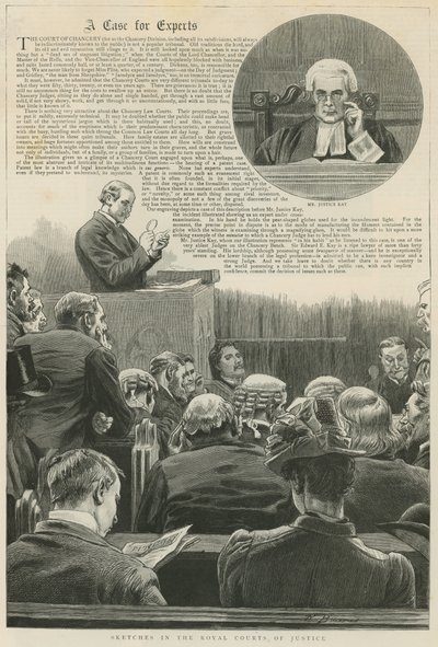 Ein Fall für Experten: Skizzen in den Royal Courts of Justice; mit einer Vignette von Mr. Justice Kay von Robert Barnes